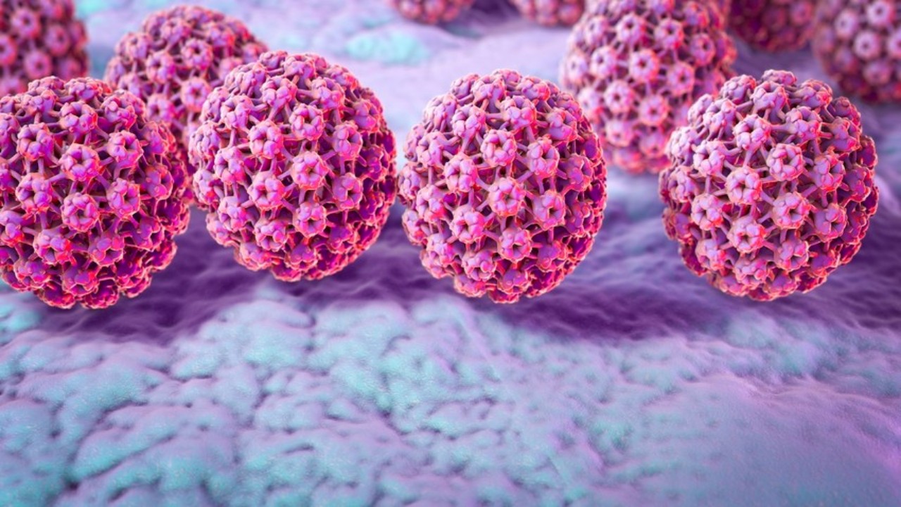 كيفية الإصابة بعدوى فيروس الورم الحليمي البشري