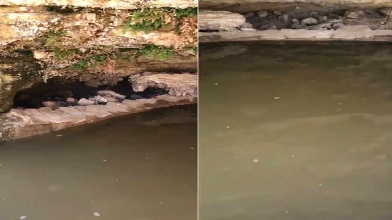 بالفيديو .. مواطن يقوم بتعبئة حوض حجري بمتنزه الغاط لسقاية الطيور