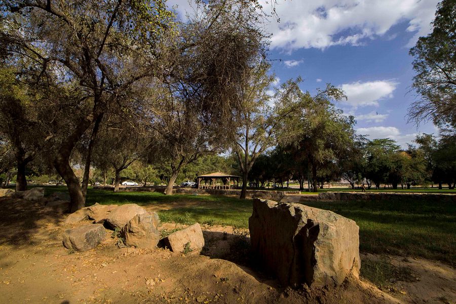 متنزه الملك فهد بغابة &#8220;سقام&#8221; وجهة سياحية لأهالي نجران