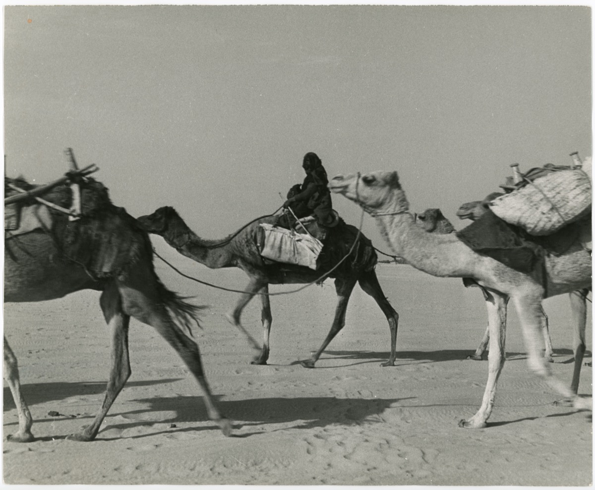 صورة فنية جميلة لامرأة ترتحل في صحراء الشرقية قديما