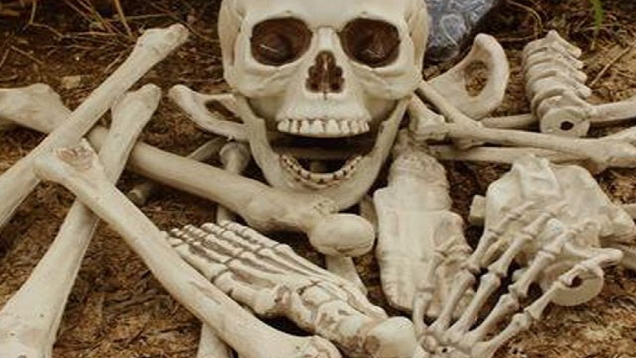 العثور على عظام بشرية في أمتعة سيدة مسنة