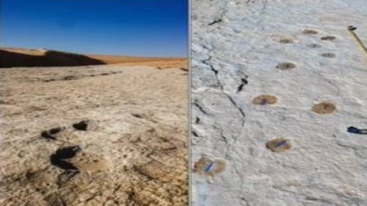 اكتشاف آثار أقدام بشرية وحيوانية تعود لـ120 ألف سنة في تبوك
