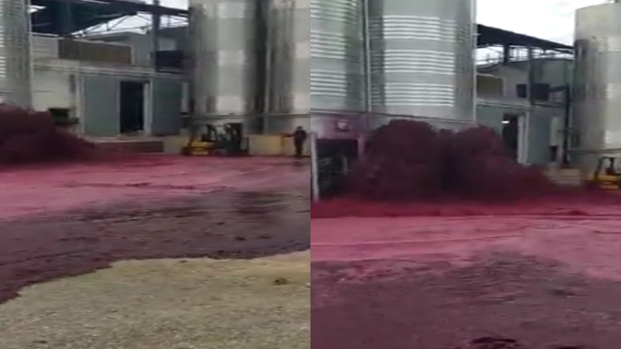 بالفيديو.. لحظة انفجار كميات كبيرة من النبيذ الأحمر في مدريد