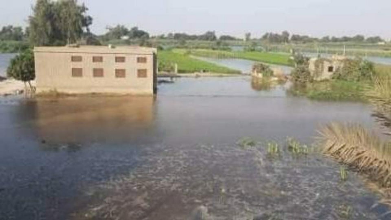 غرق عشرات الأفدنة في مصر بسبب الفيضان 