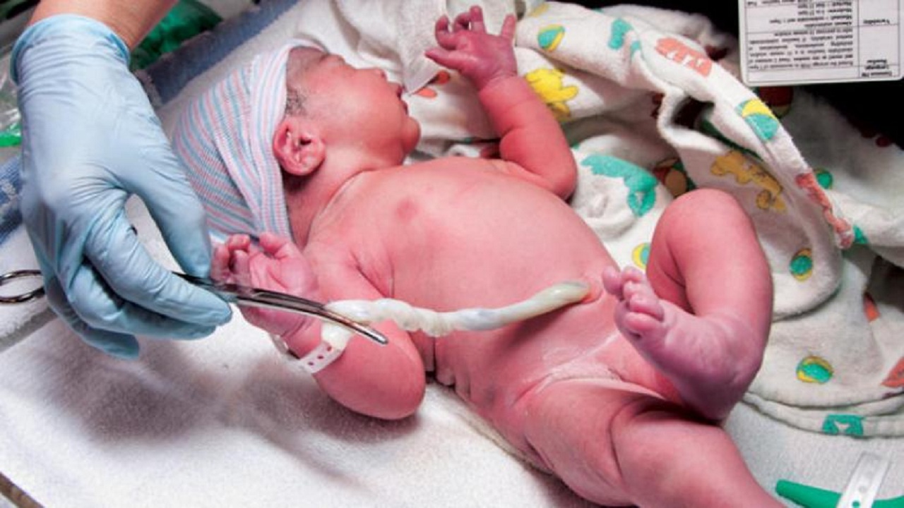 نظرية تكشف خطأ قطع الحبل السري بعد الولادة مباشرة