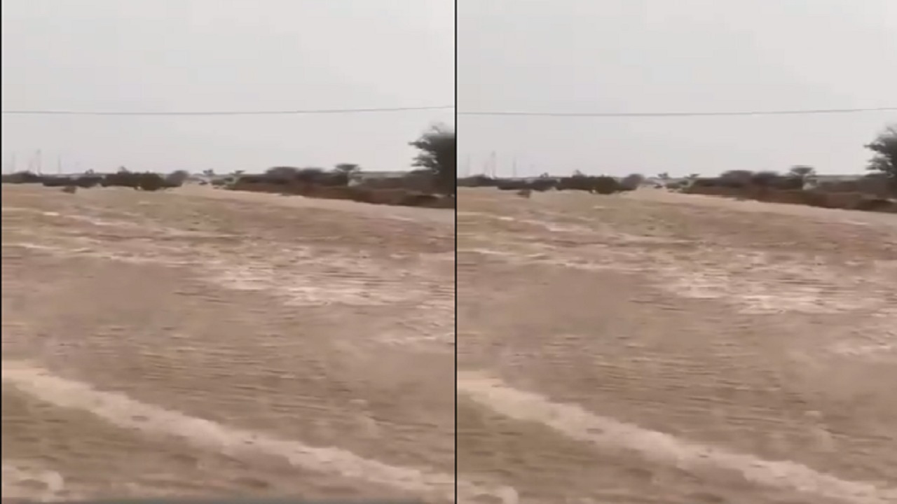 هطول أمطار غزيرة على محافظة الطائف (فيديو)