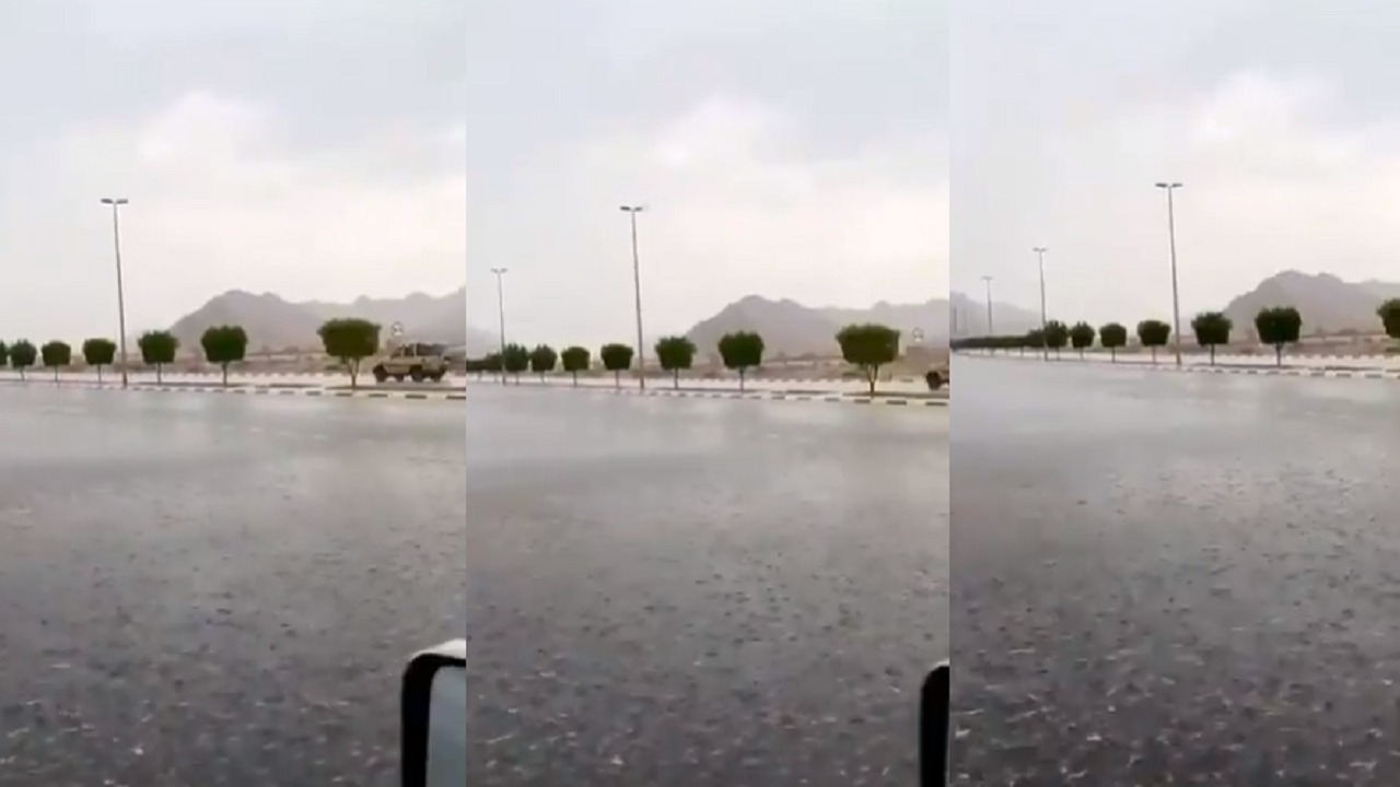بالفيديو.. هطول الأمطار على العيص بالمدينة المنورة