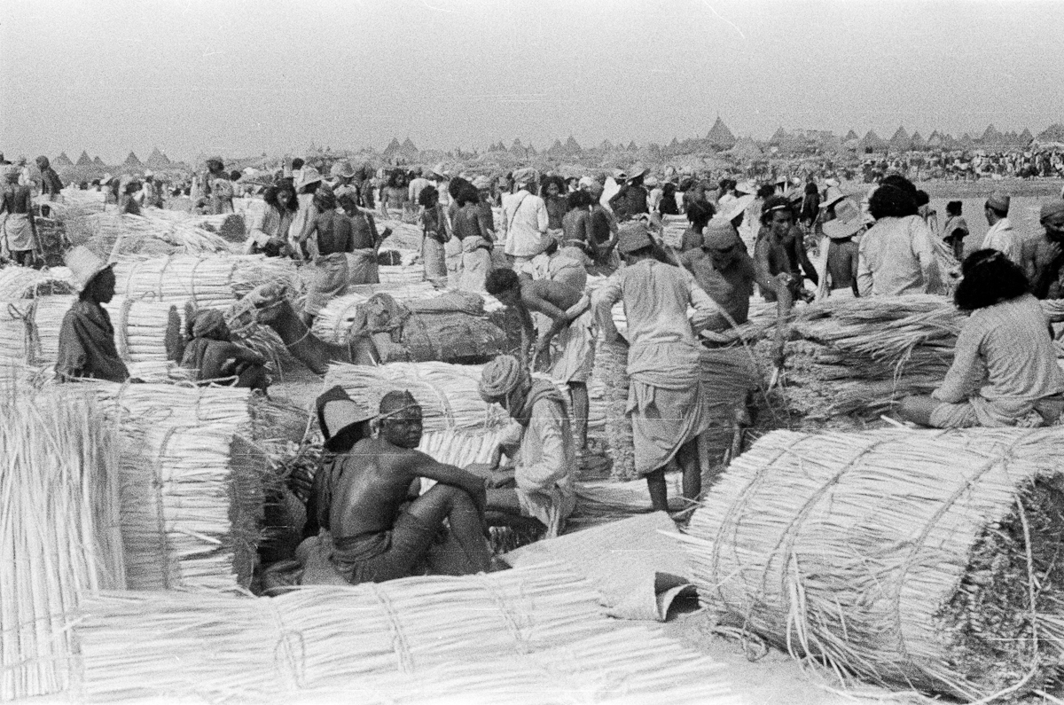 صورة لمجموعة تجار ومشترين في سوق مفتوح بجازان منذ 75 عام