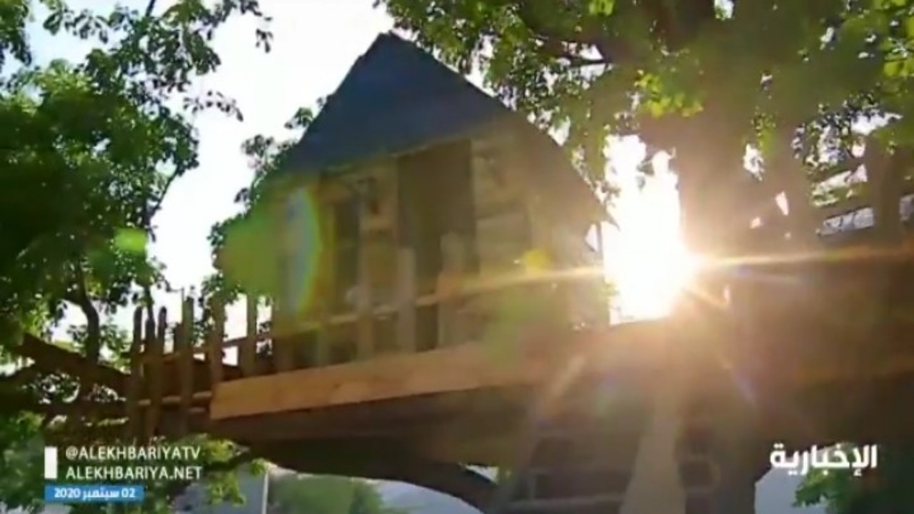 بالفيديو.. شابان يحققان حلمهما ببناء كوخ خشبي أعلى شجرتهما في عسير