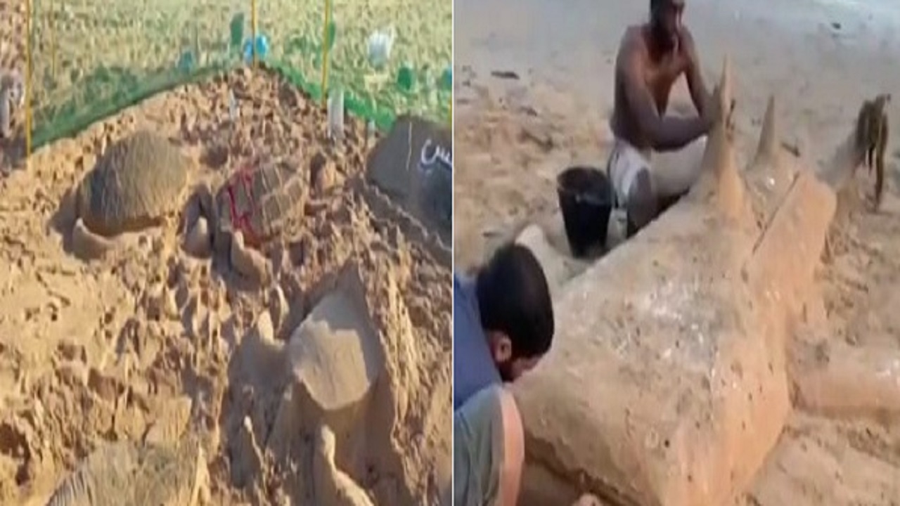 بالفيديو.. شابان يصنعان منحوتات مبهرة بالرمال على شاطئ ينبع الصناعية
