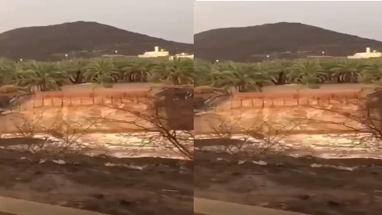 شاهد.. السيول تفيض من مزارع &#8221; حرة رهاط&#8221; شمال مكة