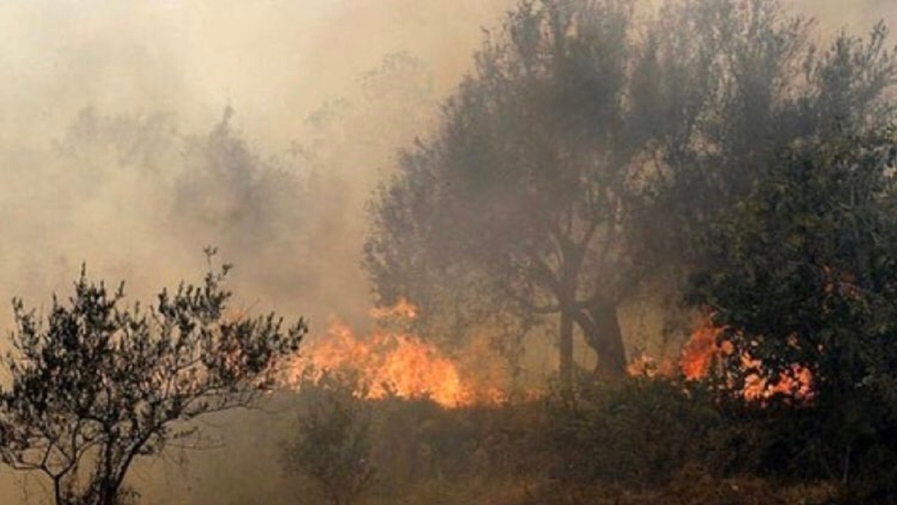 بالصور..حرائق هائلة في غابات سوريا تقترب من المناطق السكنية
