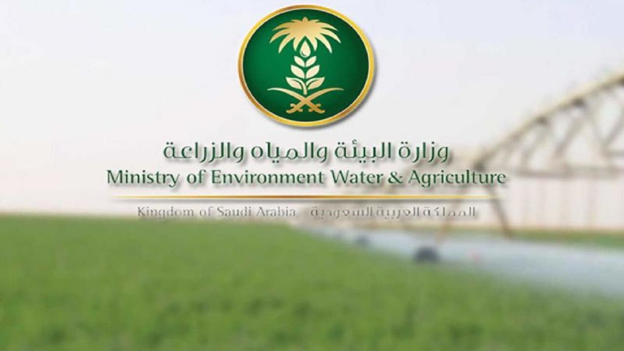 اعتماد 78 منشأة وتأهيل 201 مدقق لترشيد استهلاك المياه في جميع مناطق المملكة