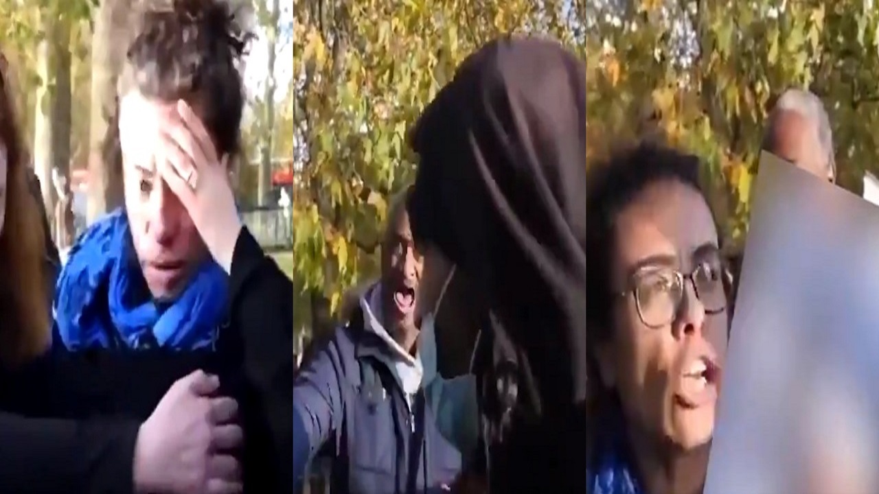 بالفيديو..لحظة صفع امرأة حاملة صورة مسيئة للرسول ﷺ بلندن