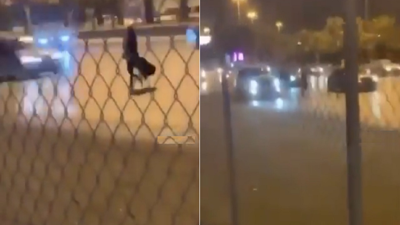 بالفيديو.. فتاة تعرض نفسها للخطر على أحد الطرق السريعة في المملكة