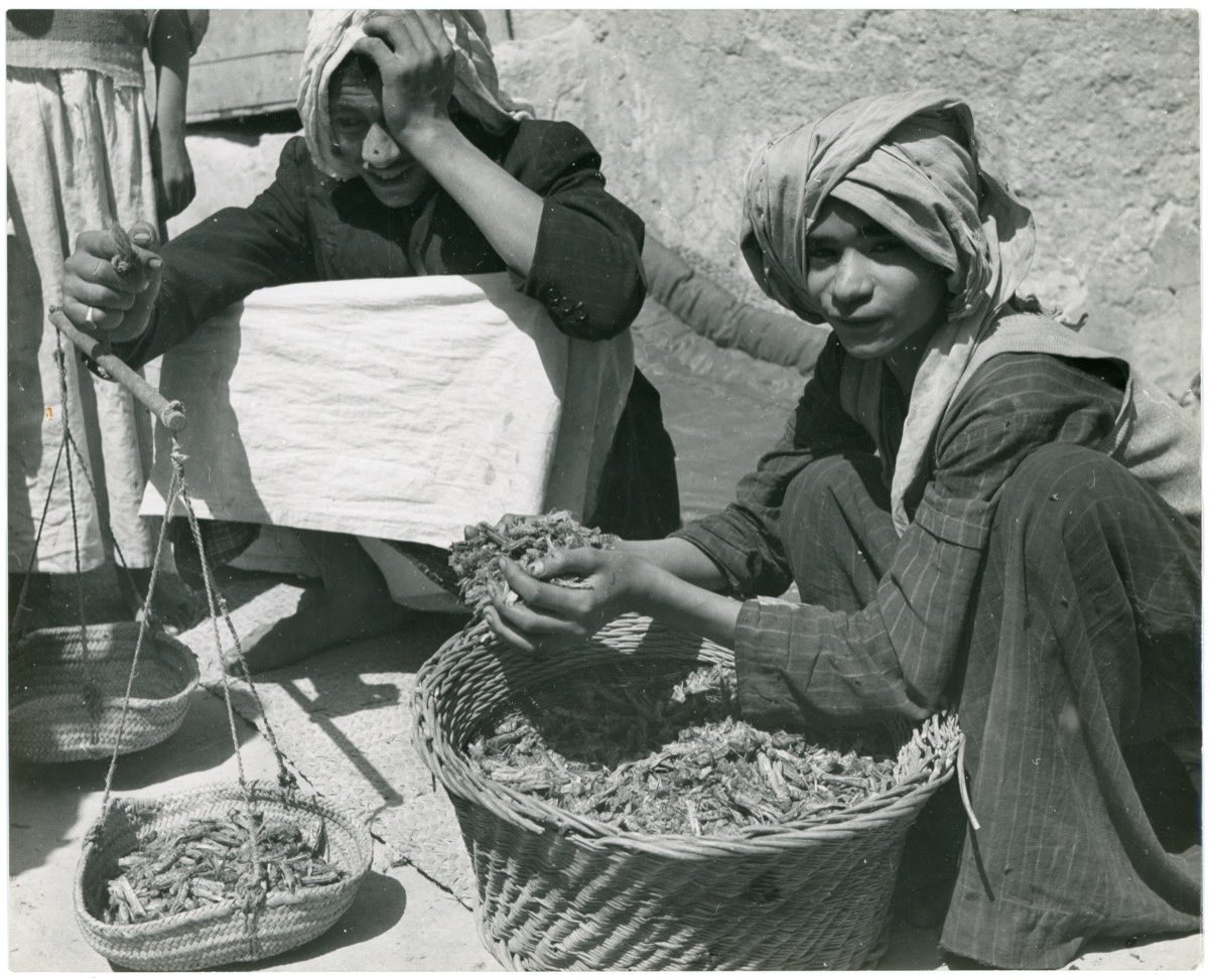 صورة نادرة لشباب يبيعون الجراد ويزنونه في سوق الظهران