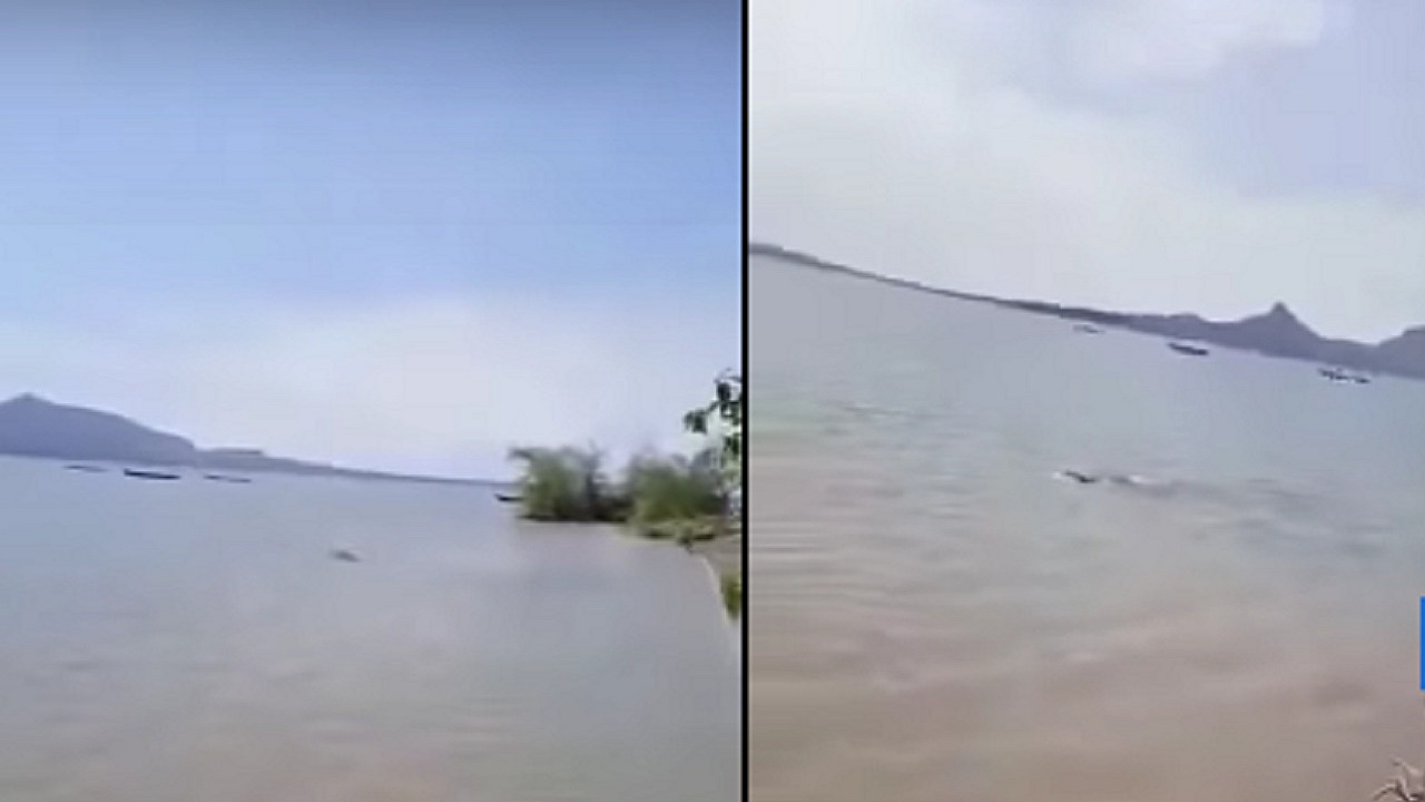 بالفيديو .. مشاهد مؤلمة لفرس نهر يغرق طفلا في بحيرة