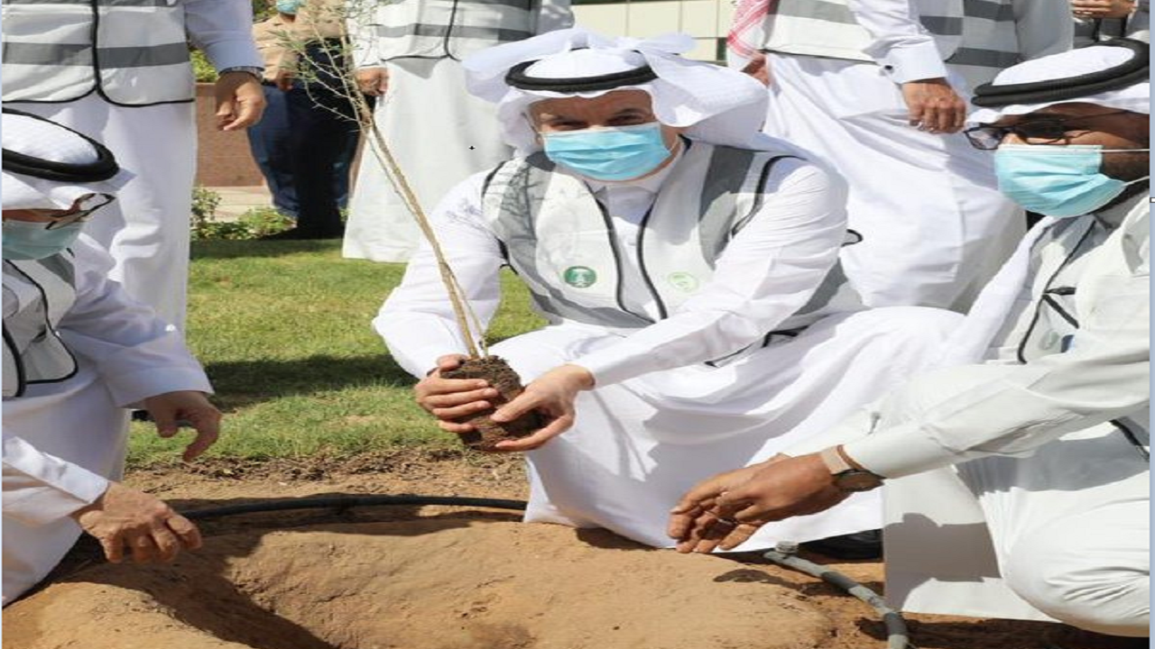 صور.. وزير البيئة يزرع شجرة ضمن حملة &#8220;لنجعلها خضراء&#8221;