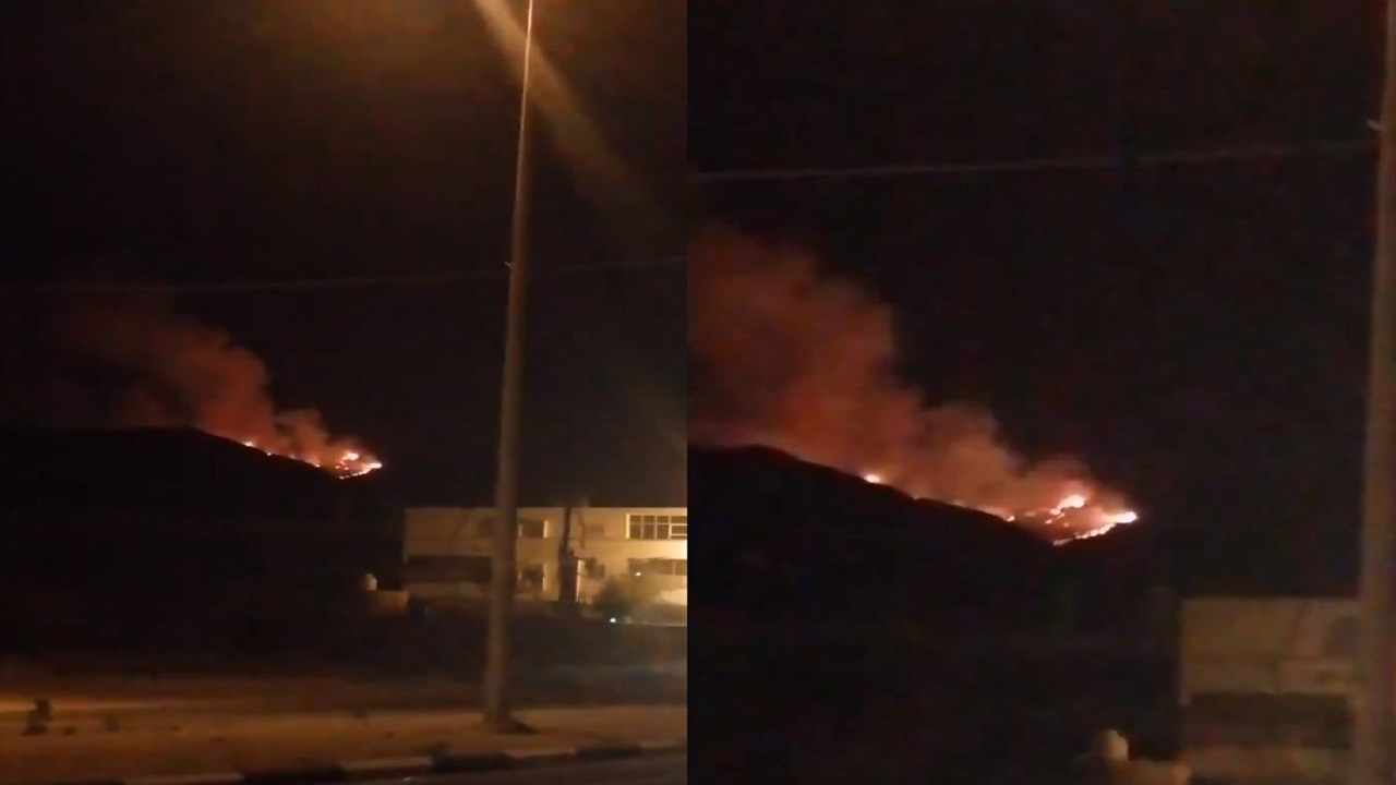 بالفيديو.. اندلاع حريق هائل في غابات &#8220;جبل غلامة&#8221;