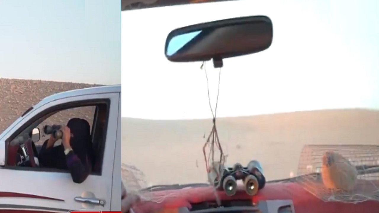 بالفيديو..مواطنة تتجول بسيارتها في الصحراء لقنص الصقور النادرة