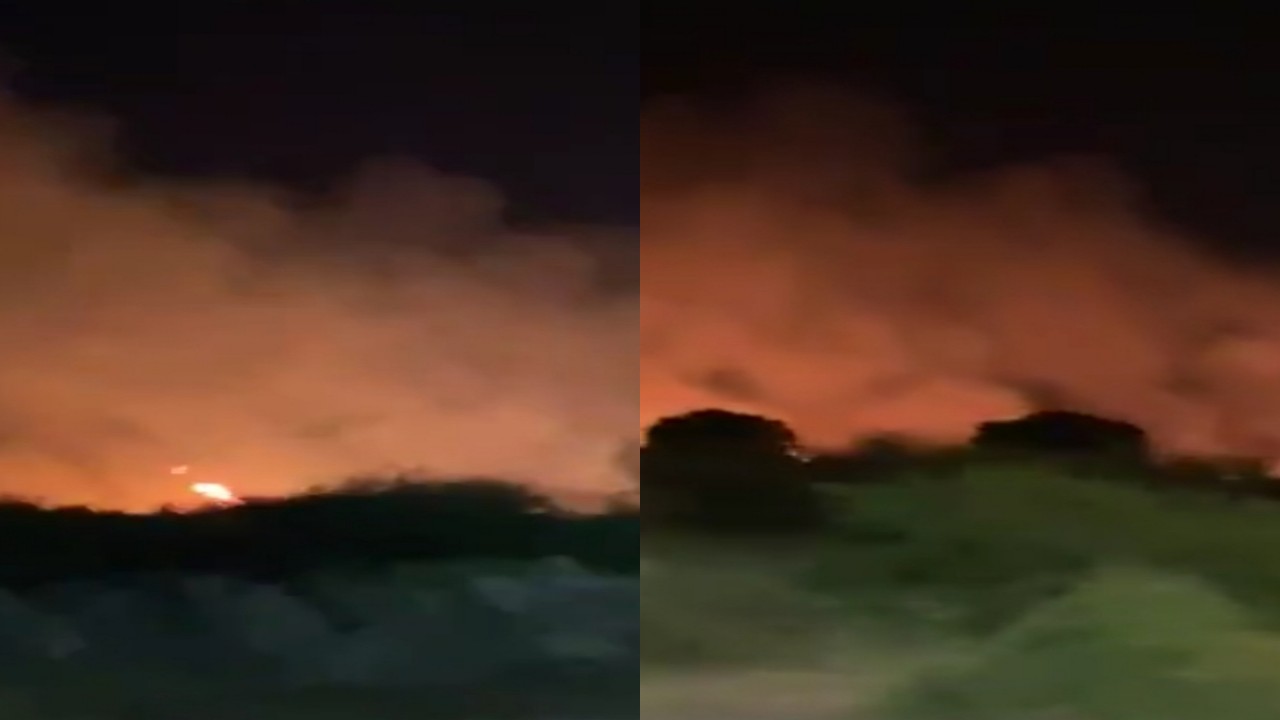 بالفيديو.. اندلاع حريق في أشجار وادي بيش