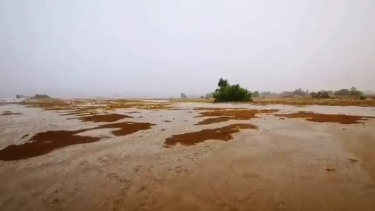 بالفيديو.. لحظة هطول الأمطار على جنوب شرق القنفذة