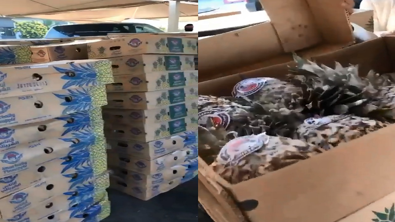 بالفيديو.. ضبط شحنة &#8220;أناناس&#8221; فاسدة قبل بيعها في سوق بالدمام