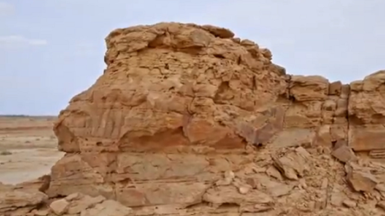 بالفيديو.. منحوتات جبلية على شكل إبل في سكاكا يعود تاريخها لنحو 2000 عام