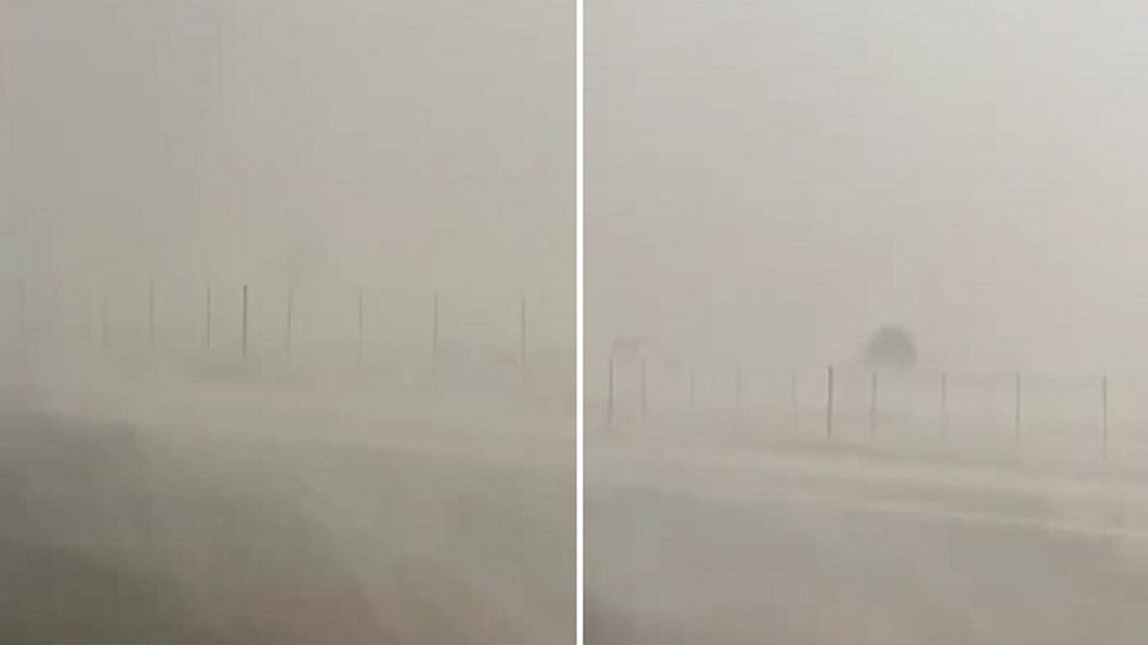 بالفيديو.. اشتداد حالة &#8220;سقيا&#8221; وأمطار وغيوم وبرق على الشعيبة