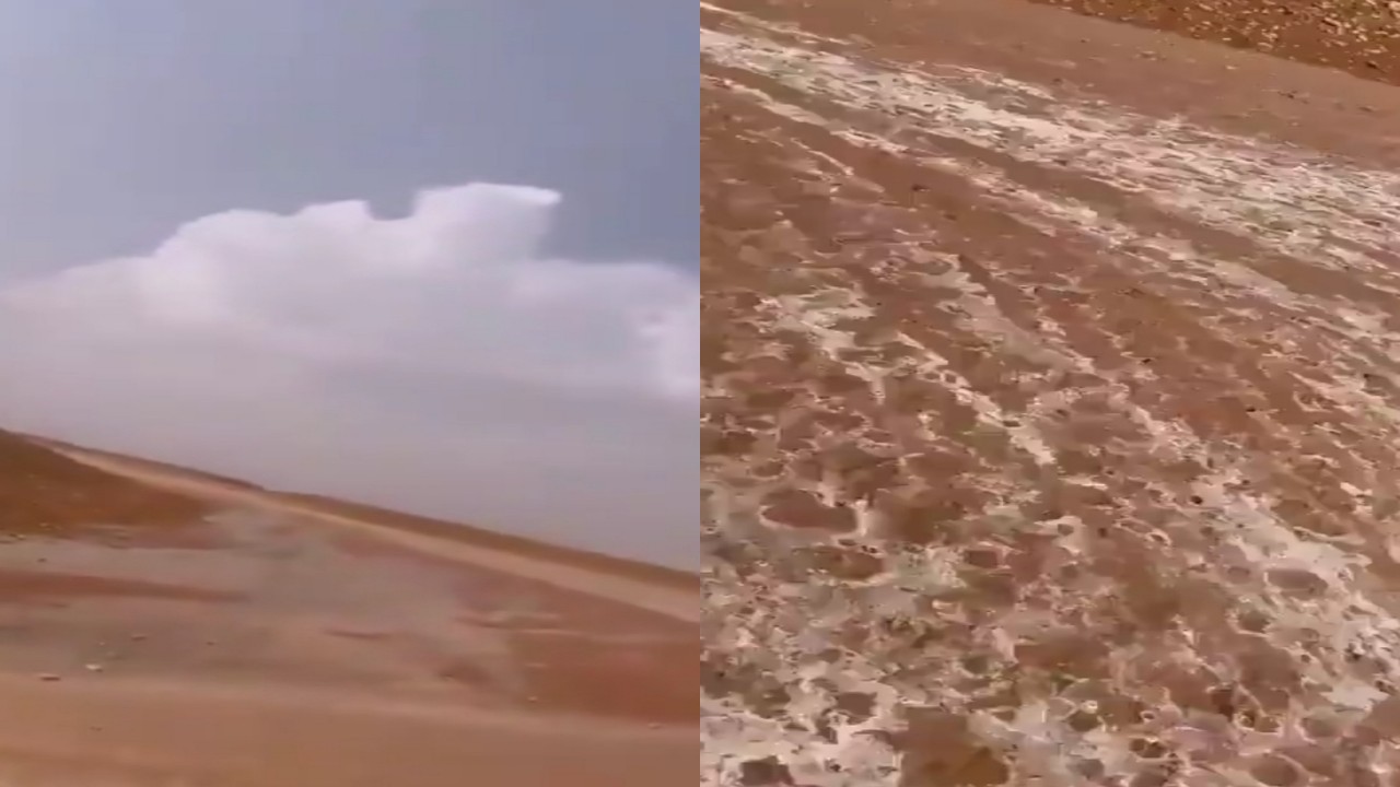 بالفيديو.. لحظة اجتياح السيول لغرب العويقيلة بالحدود الشمالية