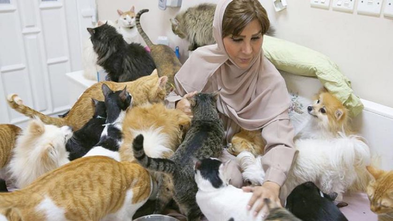 سيدة تعيش مع 500 قط وكلب: &#8221; أوفى من البشر &#8220;