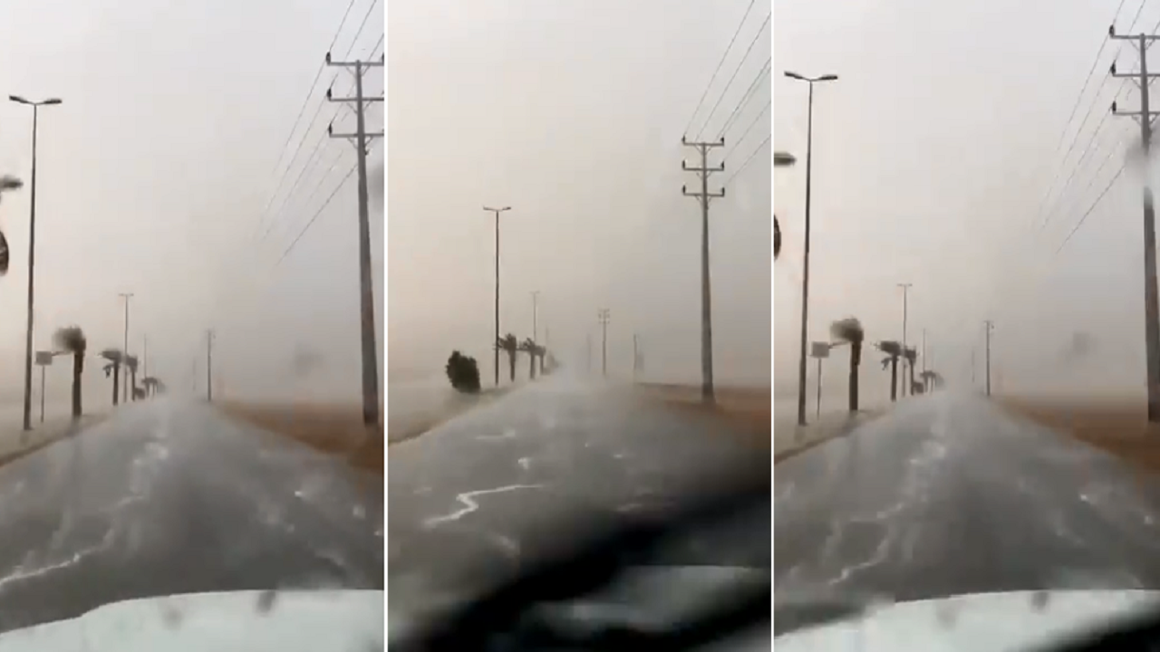 بالفيديو.. هطول أمطار غزيرة على عقلة الصقور غرب القصيم