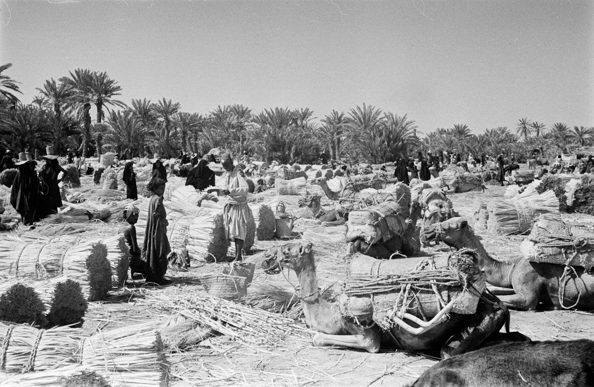 صورة نادرة لسوق في قرية القحمة بمنطقة عسير
