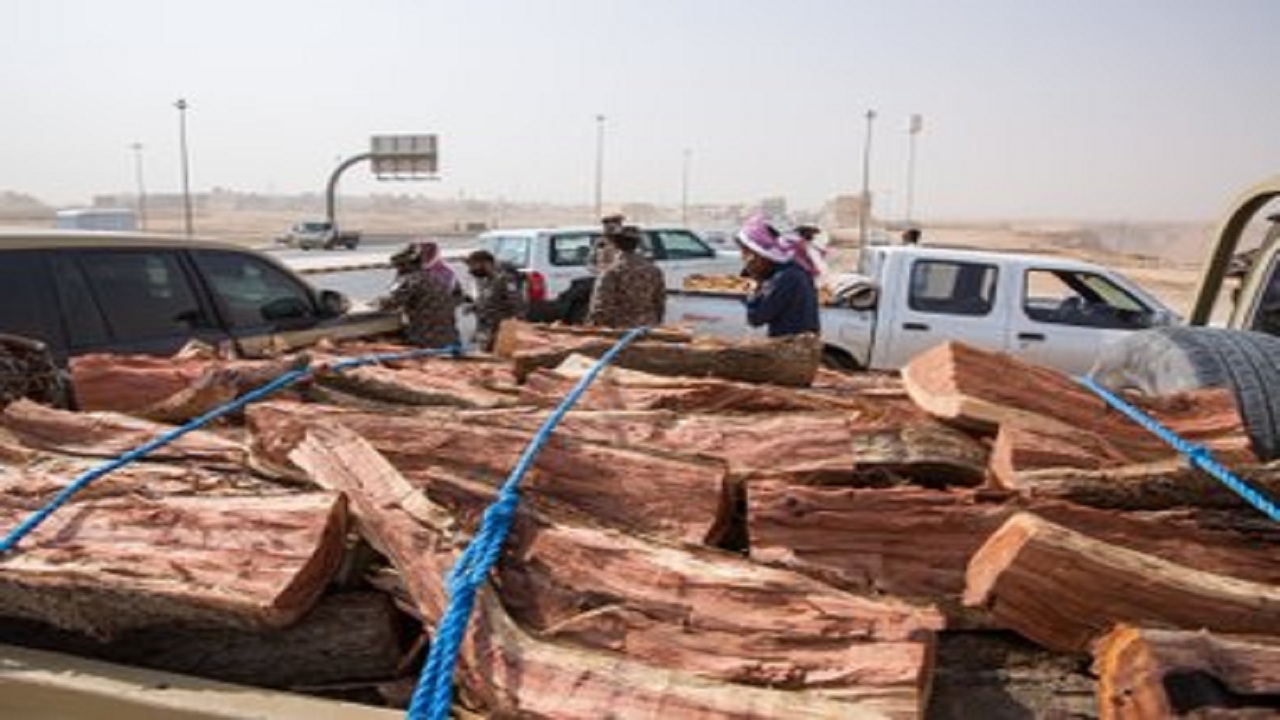 بالصور.. ضبط 16 طناً من الحطب المحلي المعد للبيع في  الرياض