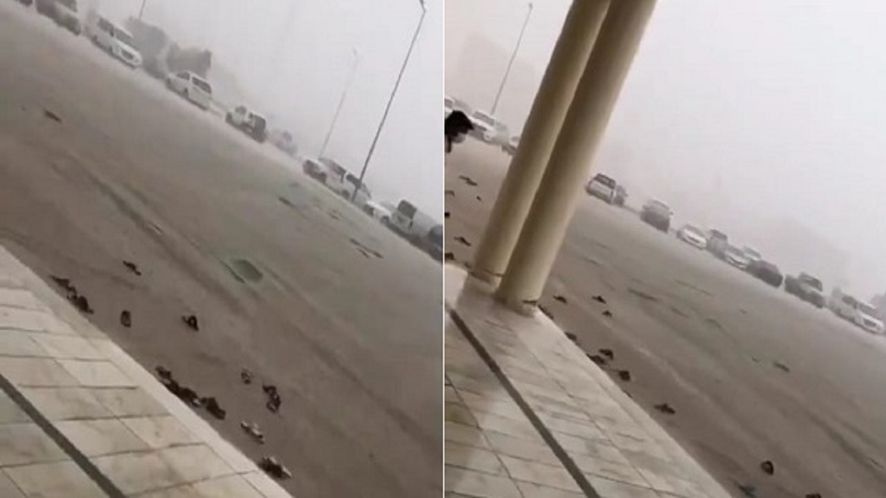 بالفيديو.. إنجراف النعال أثناء صلاة الجمعة بسبب الأمطار في حفر الباطن