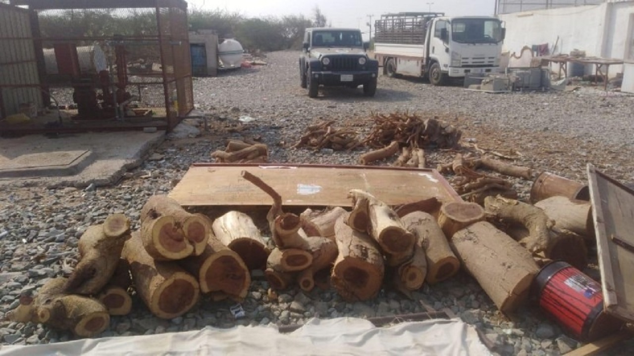 بالصور.. مصادرة 150 طن حطب محلي من 5 مناطق في اسبوع