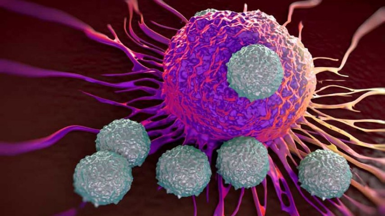 هرمون الإجهاد ينشط الخلايا السرطانية