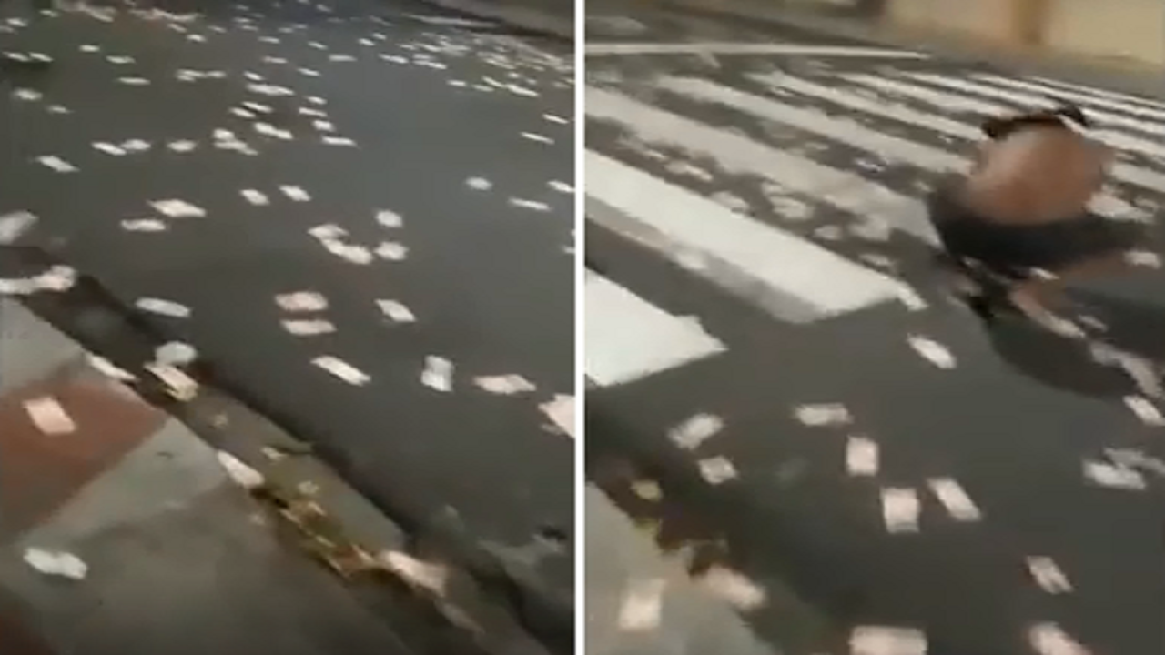 بالفيديو.. لصوص يلقون أموال في الشارع للهروب من الشرطة