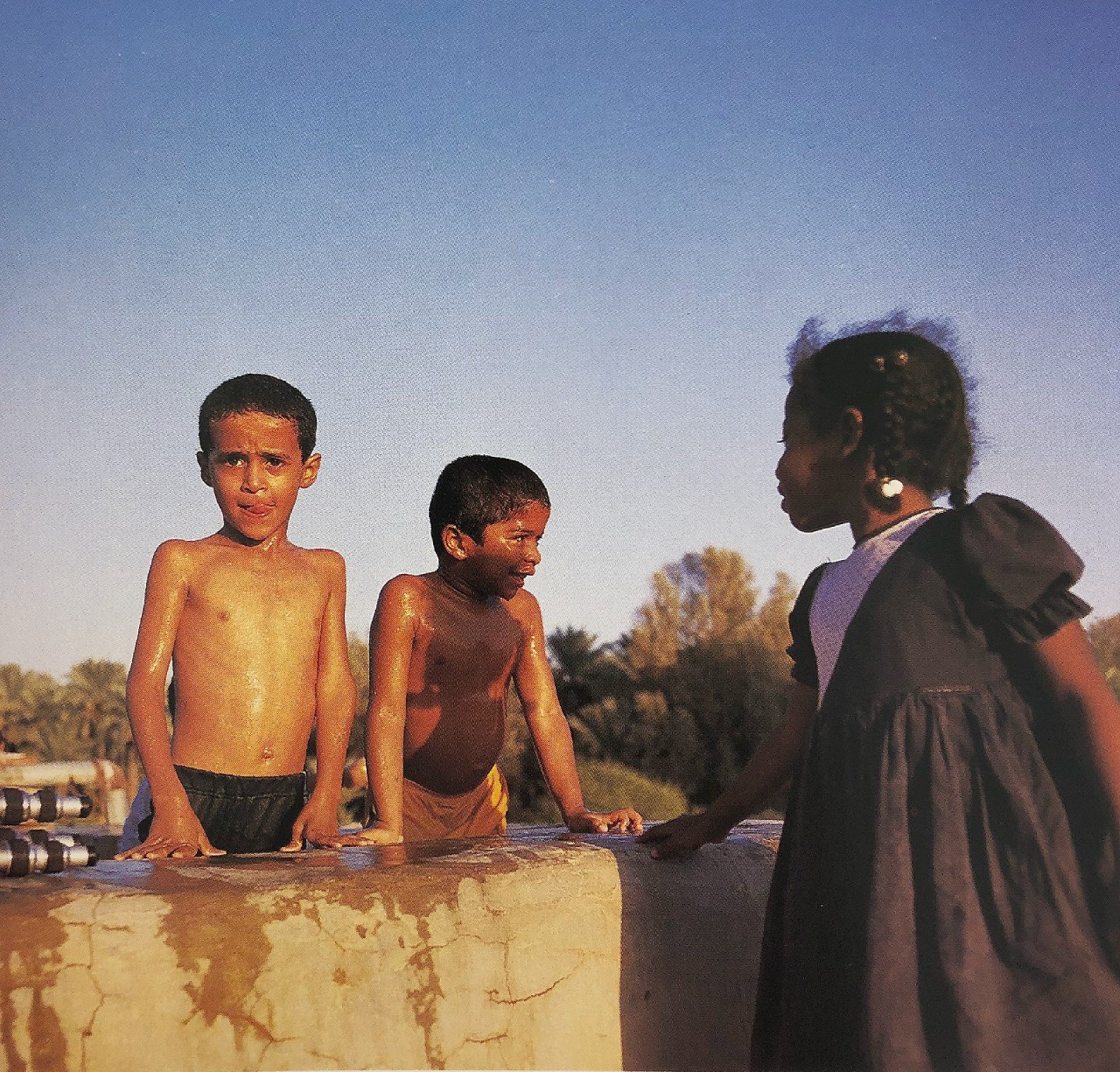 أطفال يسبحون بإحدى المزارع قرب الرياض عام 1411هـ