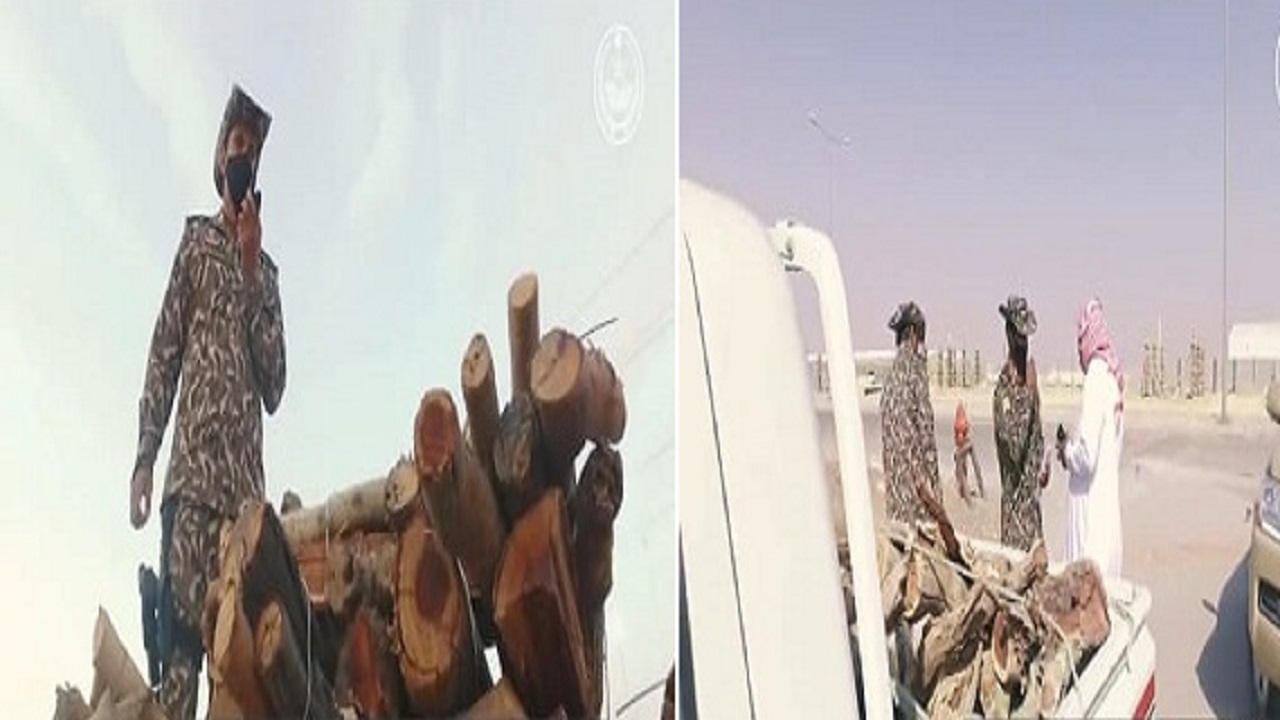 بالفيديو.. ضبط 55 مخالف بحوزتهم 12 طن حطب محلي في عدة مناطق