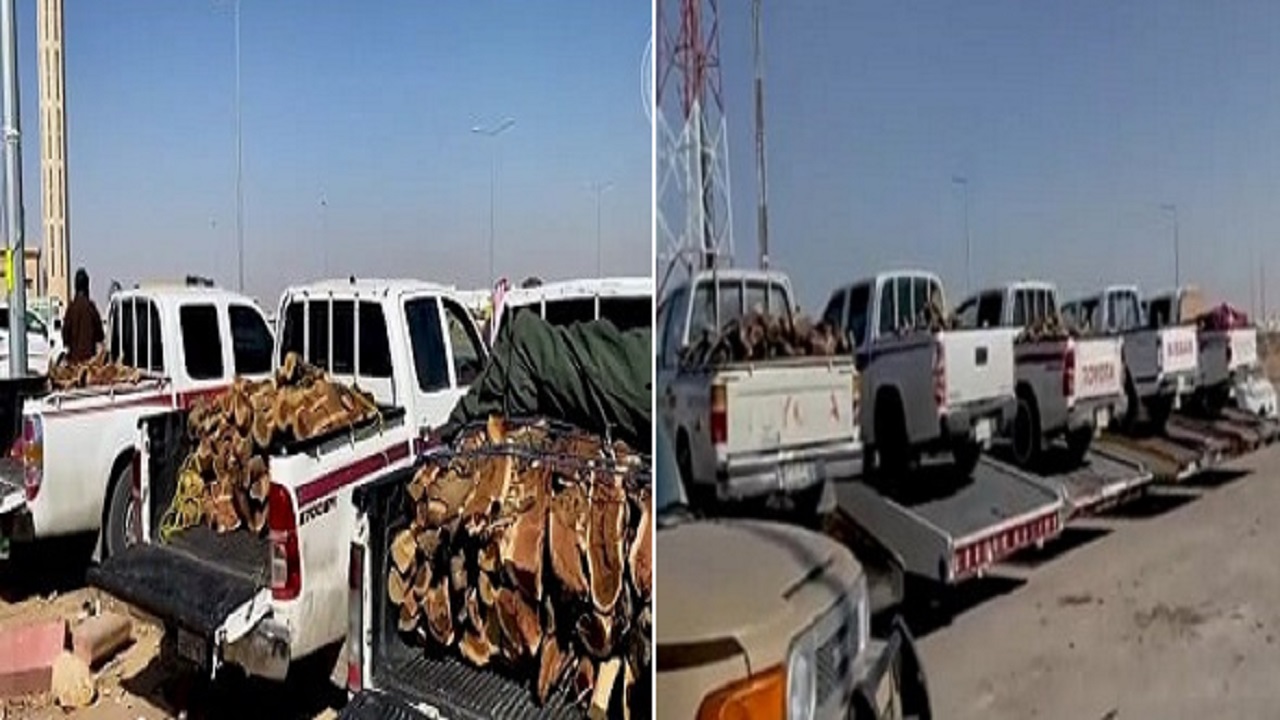 بالفيديو.. ضبط 2.3 طن حطب محلي بحوزة 41 مخالف في مناطق المملكة