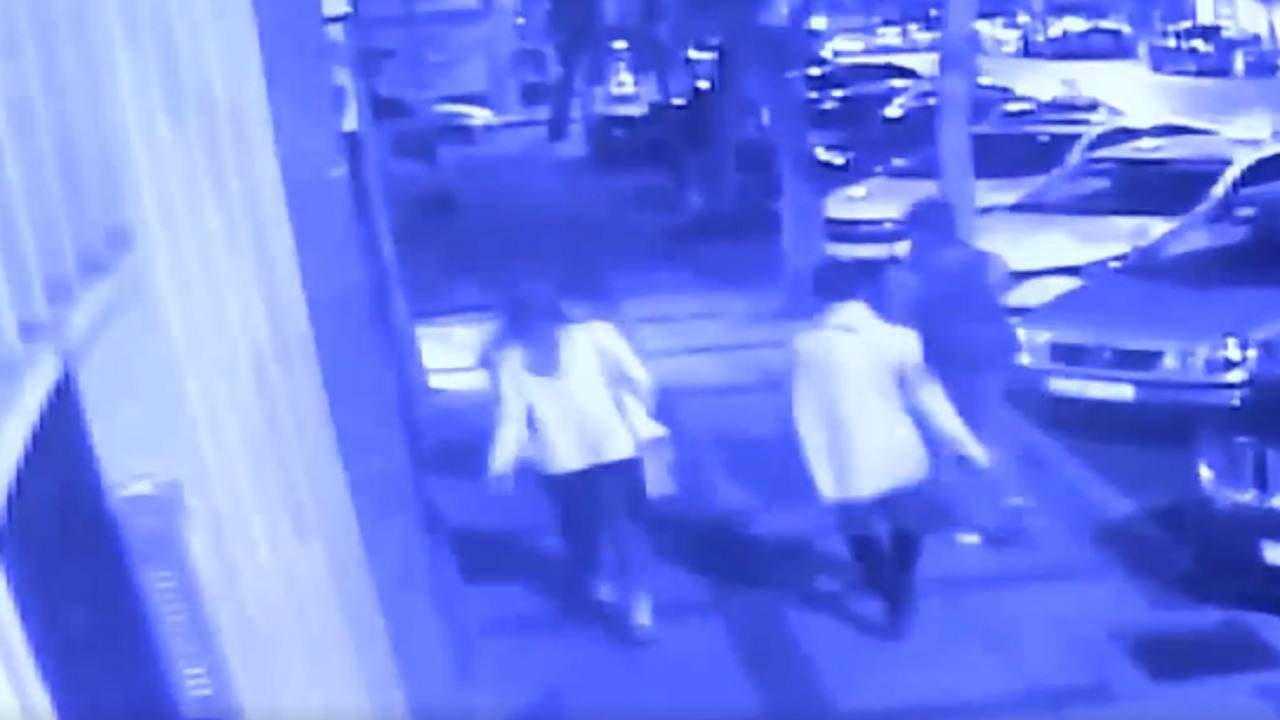 بالفيديو..تركي يهاجم 3 سياح ويستفرد بامرأة منهم