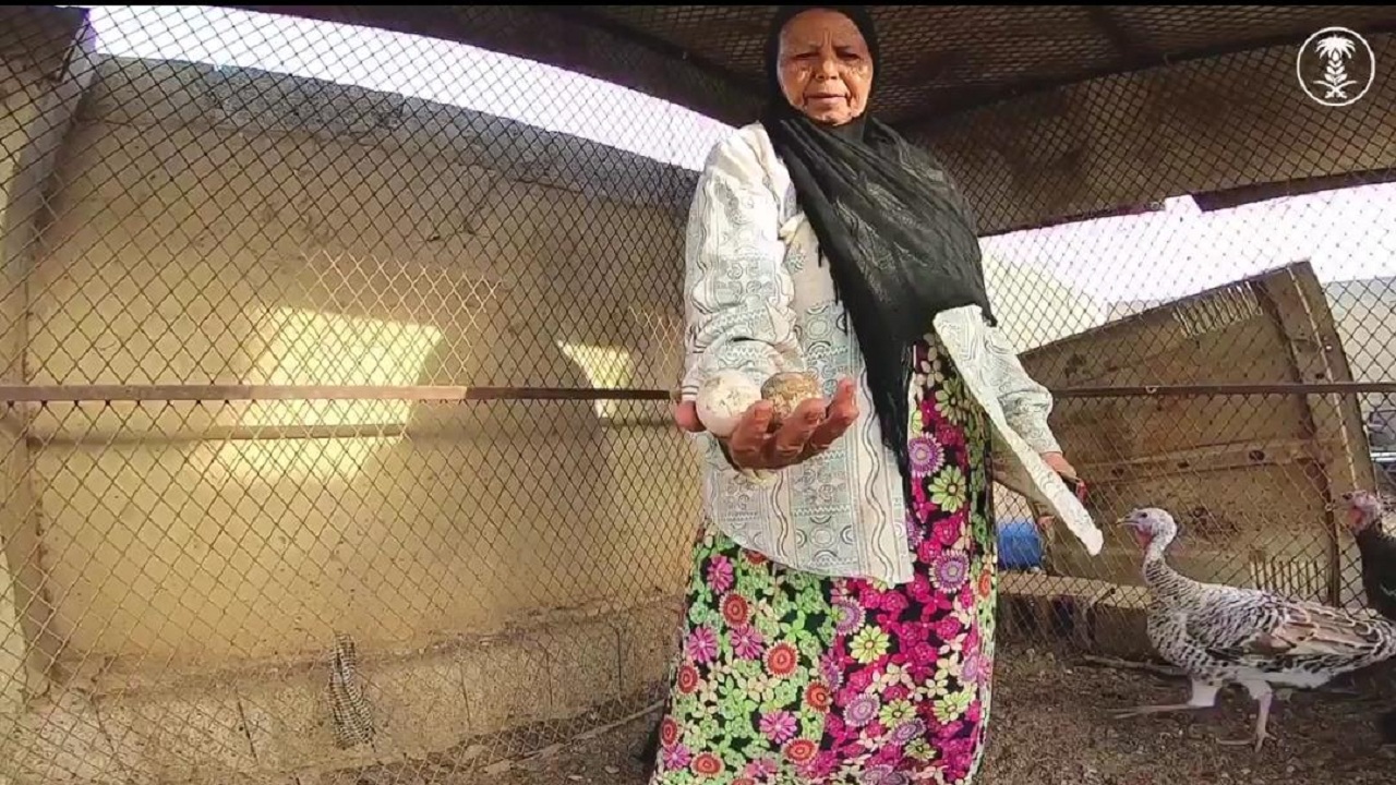 بالفيديو.. معلمة متقاعدة تتفرغ لإنتاج العسل وتربية المواشي والطيور