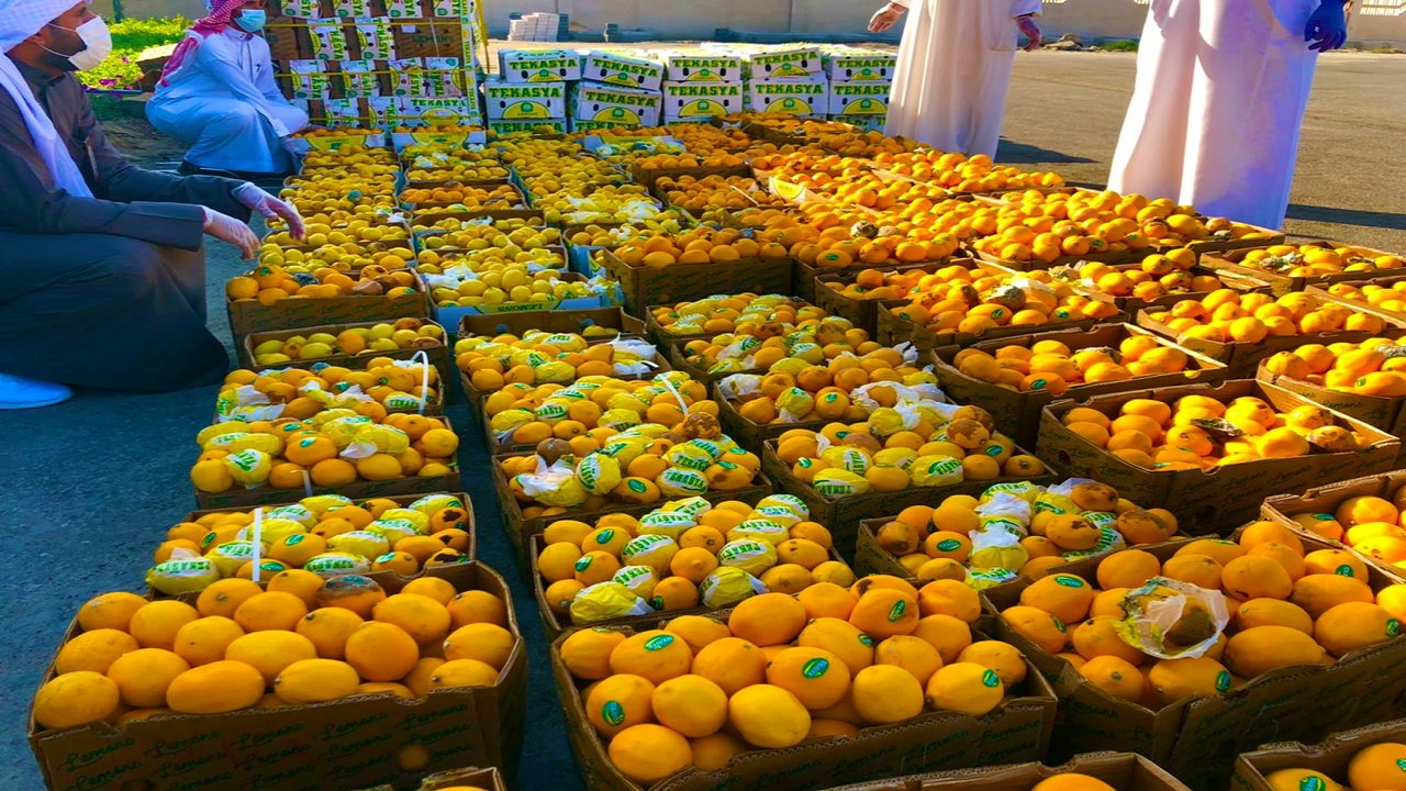 أمانة الشرقية: إدارة الأسواق تضبط 2 طن ونصف من الليمون الفاسد بالدمام