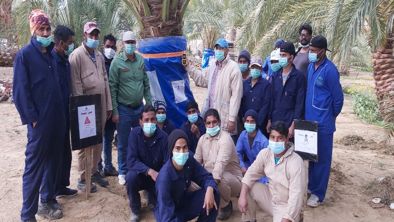 دورة تدريبية على استخدام غاز فوسفيد الالومنيوم لمكافحة سوسة النخيل في بيشة