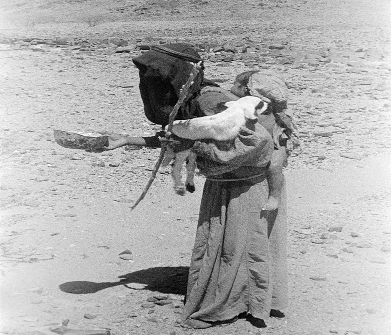 صورة تدعو للتأمل لامرأة تحمل طفلاً وشاة في عسير