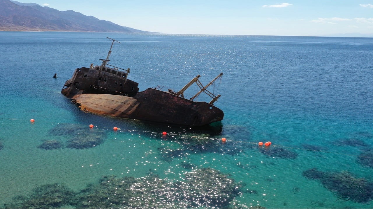 لقطات نادرة لحطام سفينة يونانية غرقت منذ 42 عام بحقل