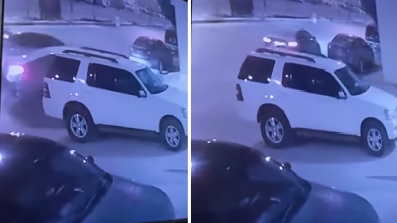 بالفيديو.. لحظة سرقة مركبة خلال توقفها بأحد شوارع الرياض