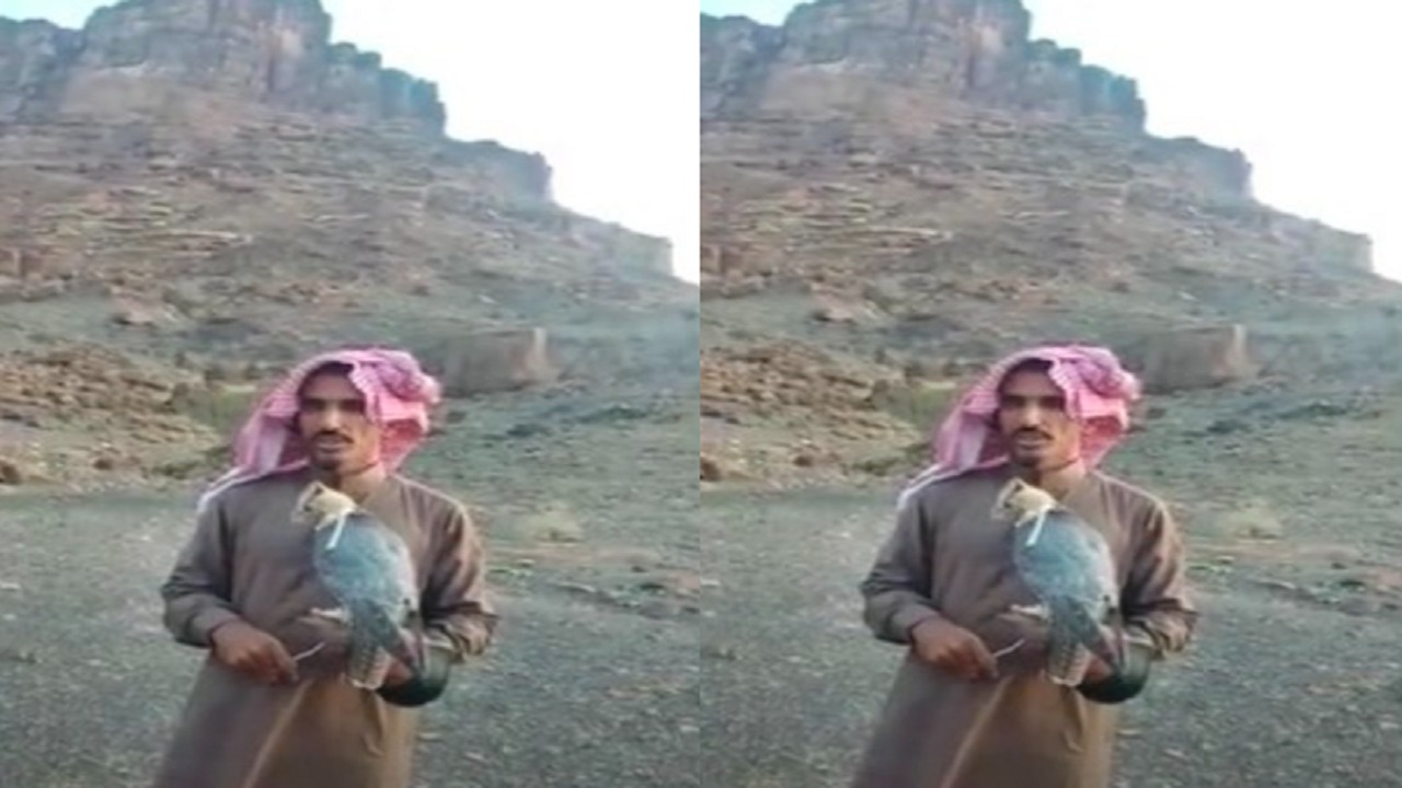 بالفيديو.. مواطن يطلق سراح &#8220;شيهانة جبلية&#8221; بعد تسجيل ملكيتها