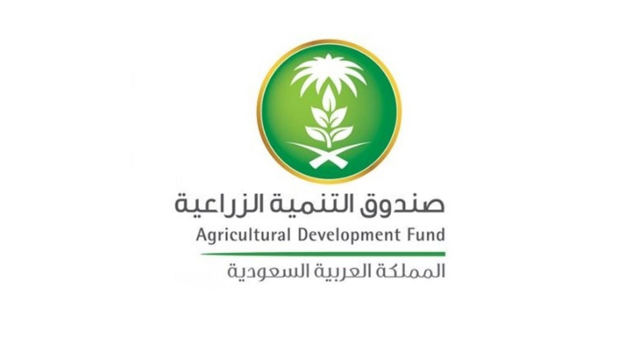 صندوق التنمية الزراعية يوضح شروط تمويل صغار مربي الماشية